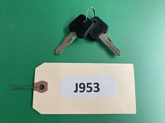 Set of 2 keys for the Zinger Power Wheelchair -SET OF 2* #J953